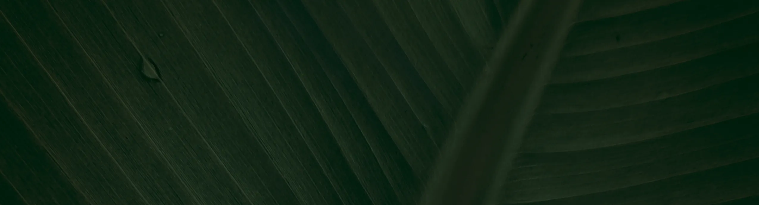 Abaya femme modeste – Nouvelle collection Automne/Eté 2026