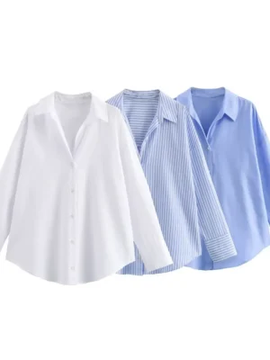 Chemise femme élégante manches longues – Style chic bureau & casual (Printemps / Été)
